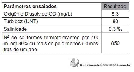 imagem-005.jpg