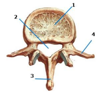 035.png (339×311)