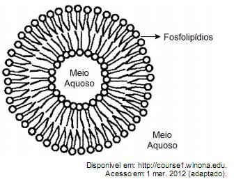 Imagem 
associada para resolução da questão