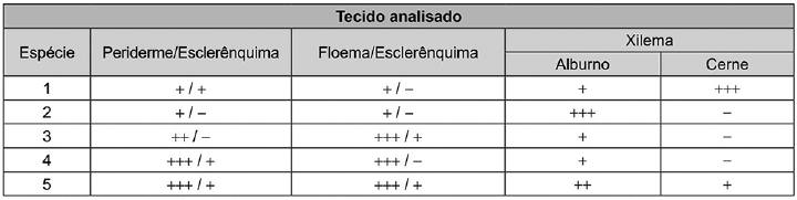 Imagem 
associada para resolução da questão