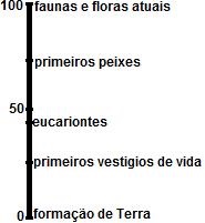 imagem-retificada-questao-005.jpg