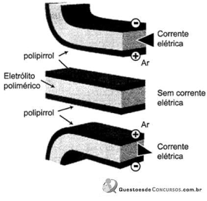 imagem-012.jpg
