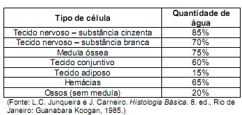 Imagem 012.jpg