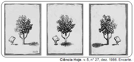 imagem-retificada-texto-049.jpg