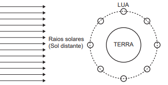Imagem associada 
para resolução da questão
