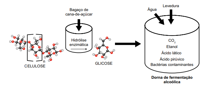 Imagem associada 
para resolução da questão