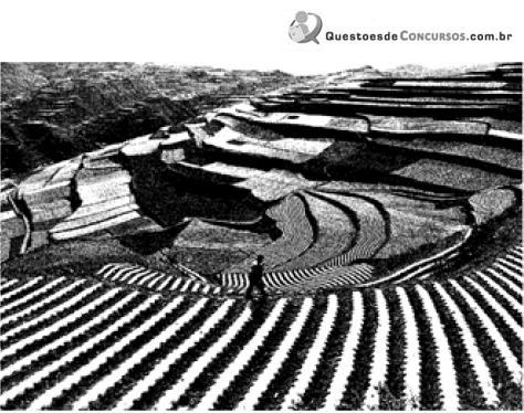 imagem-004.jpg