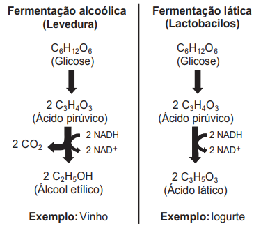 Imagem associada para resolução da 
questão