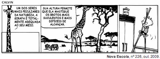 imagem-retificada-texto-029.jpg