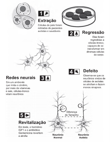 Imagem 
associada para resolução da questão