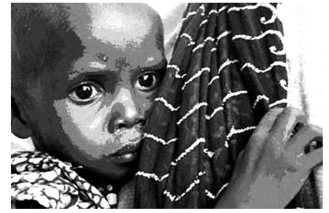 Imagem associada 
para resolução da questão