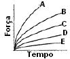 imagem-073.jpg