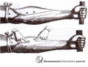 imagem-027.jpg