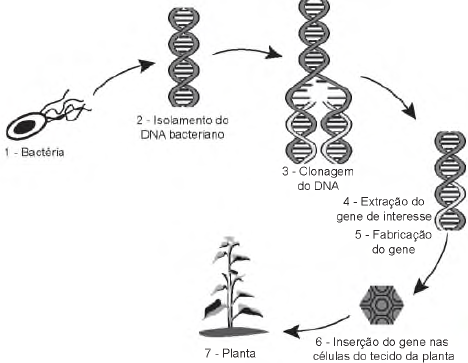Imagem 
associada para resolução da questão