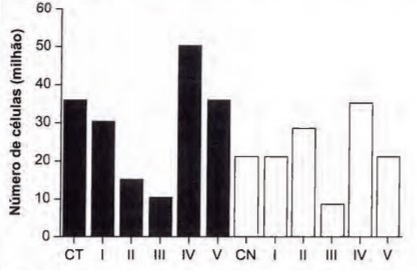 Imagem associada 
para resolução da questão