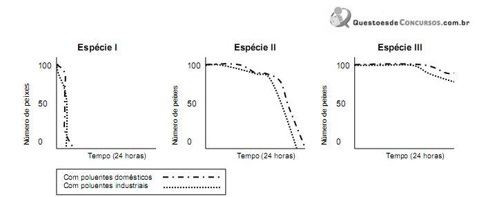 Imagem 026.jpg
