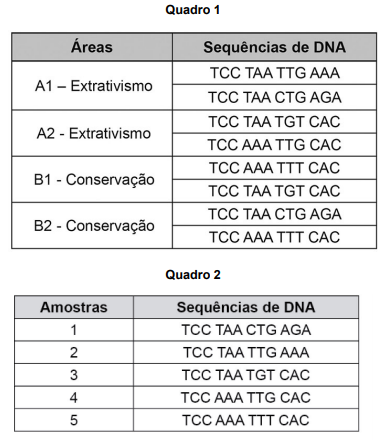 Imagem 
associada para resolução da questão