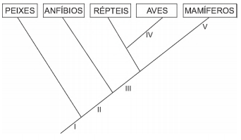 Imagem 
associada para resolução da questão