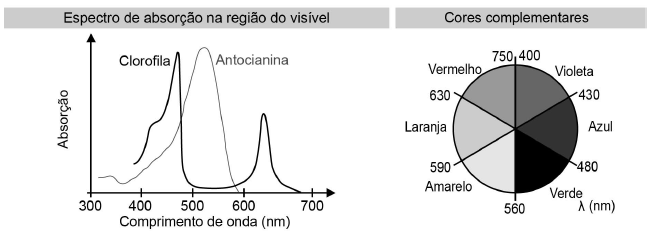 Imagem 
associada para resolução da questão