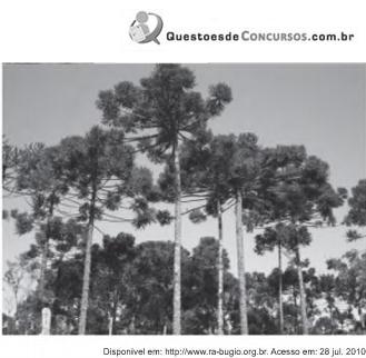 Imagem 009.jpg