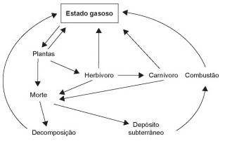 Imagem 
associada para resolução da questão