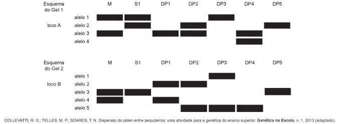 Imagem associada 
para resolução da questão
