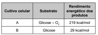 Imagem 
associada para resolução da questão