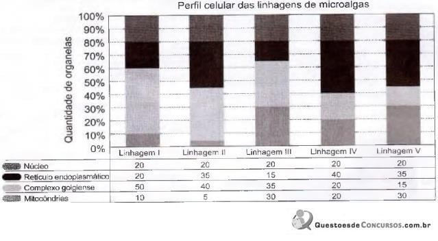 imagem-
043.jpg