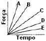 imagem-074.jpg