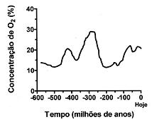 Imagem 052.jpg