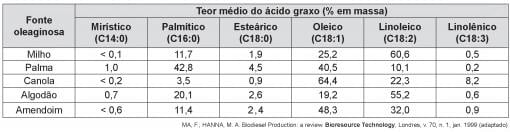 imagem-021.jpg