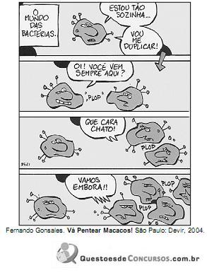 Imagem 038.jpg