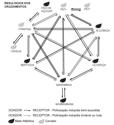 Imagem 
associada para resolução da questão