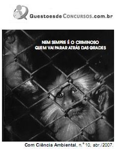 Imagem 018.jpg