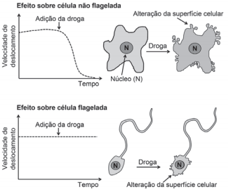 Imagem associada para resolução da 
questão