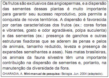 imagem-retificada-texto-051.jpg