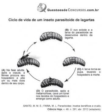 imagem-048.jpg