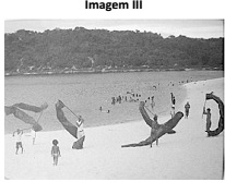Imagem associada 
para resolução da questão