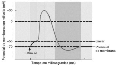 Imagem associada para resolução da 
questão